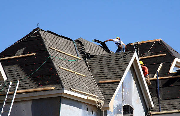 Best Roof Inspection Near Me  in Braddock, VA