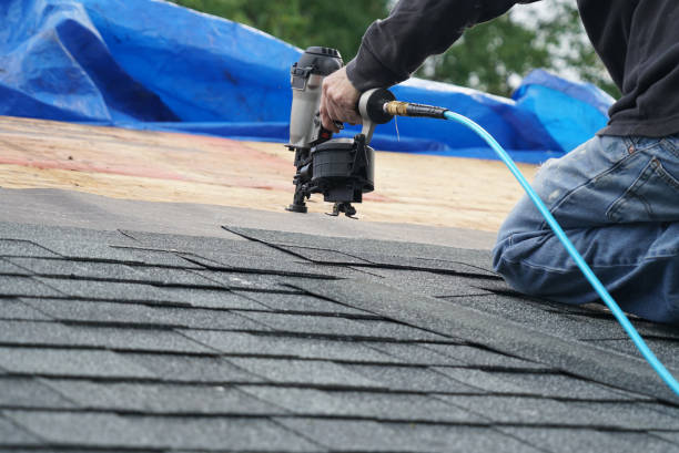 Best Roof Repair Services  in Braddock, VA